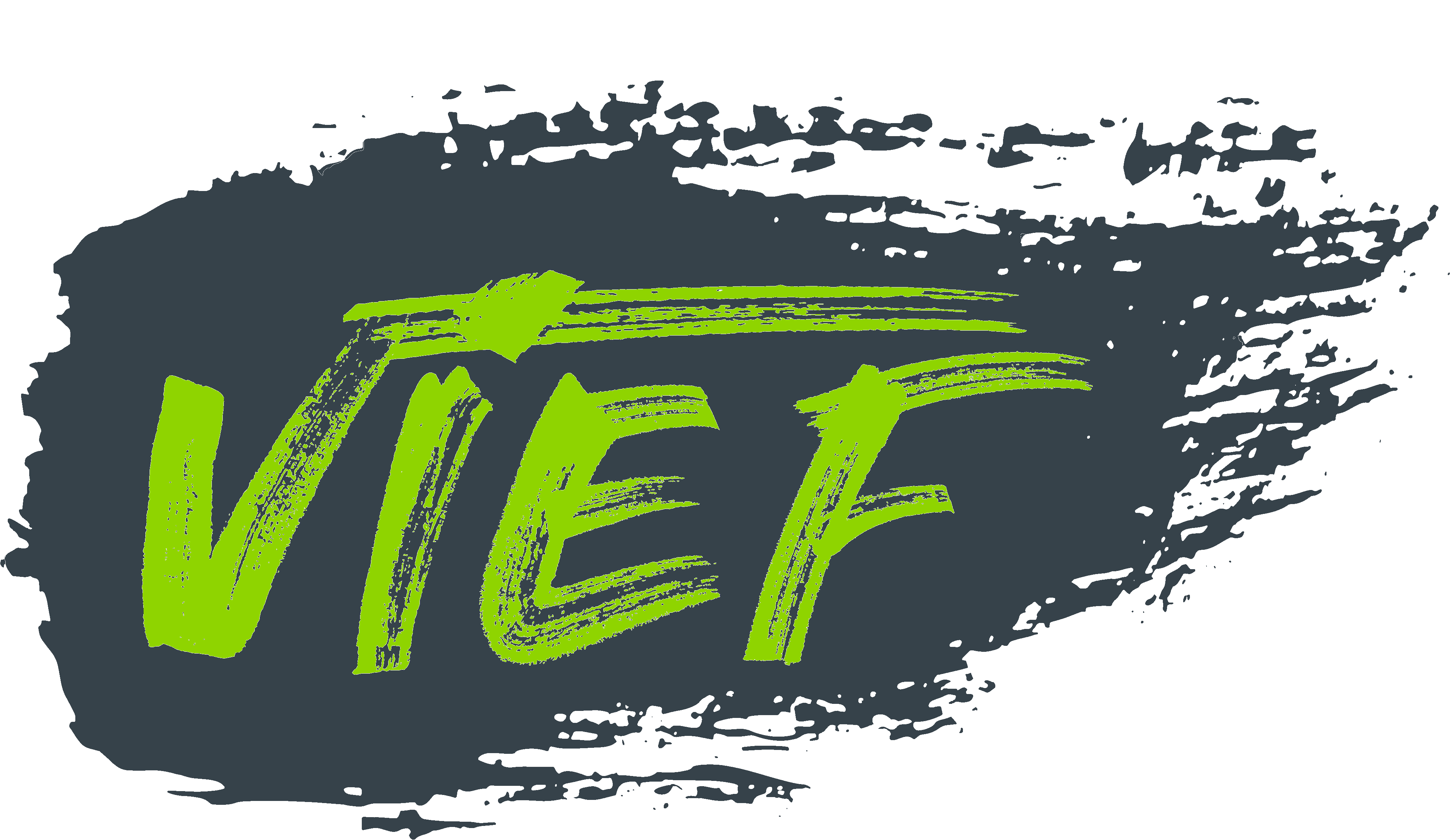 VIEF-web-logo
